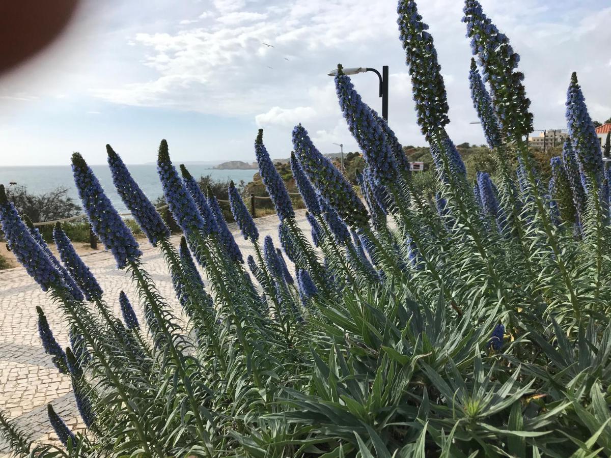 포티마오 Sol Mar 아파트 외부 사진